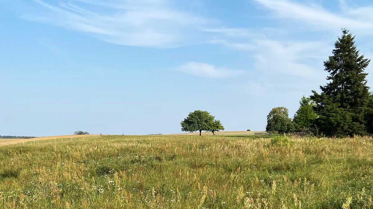 Ausflug unserer Kirchengemeinde in die Natur am 7. September 2024